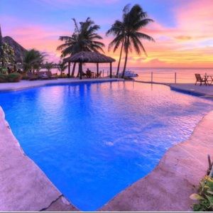 Trade for @hollyposh4u